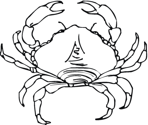 Krab kolorowanki